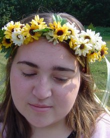 Beautiful white and yellow daisies.